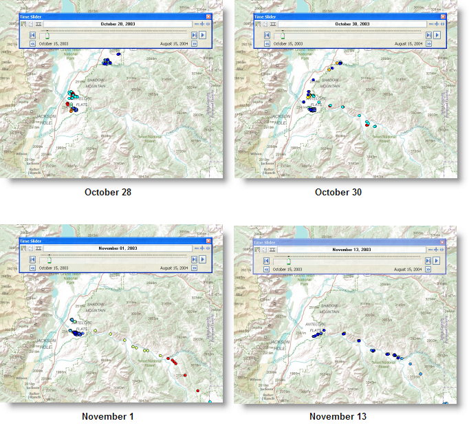 GPS-Positionen zum Verfolgen der Sommerwanderung der Gabelantilope südlich des Grand-Teton-Nationalparks in den USA