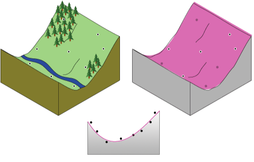 Polynomial trend