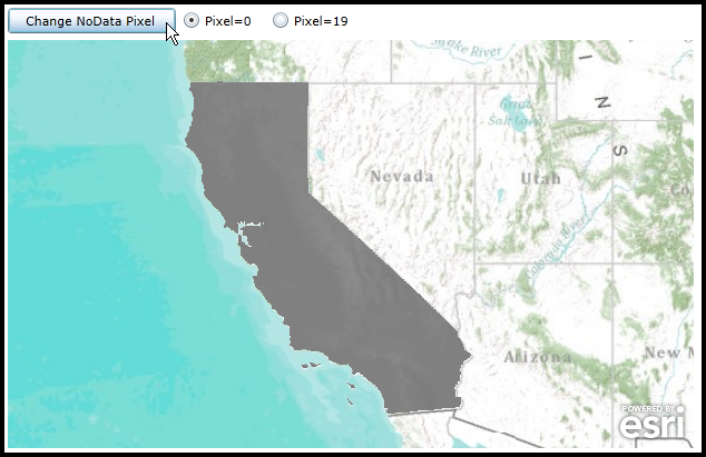 Changing the ArcGISImageServiceLayer.NoData Property.