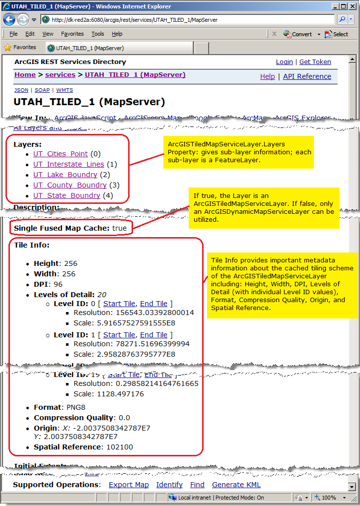Example metadata for an ArcGISTiledMapServiceLayer.