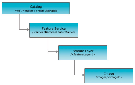 Image - Feature Service