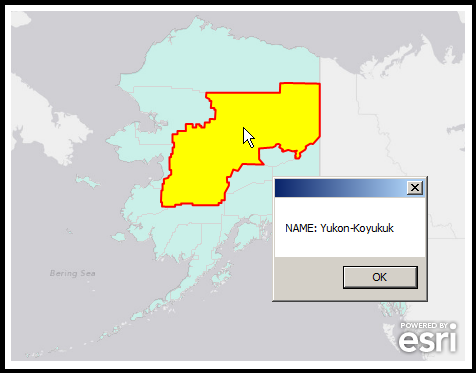 Performing an Identify on Features in a Dynamic Layer.