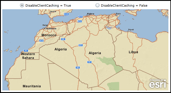 Changing the ArcGISDynamicMapServiceLayer.DisableClientCaching Property.