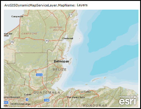 Displaying the ArcGISDynamicMapServiceLayer.MapName Property.