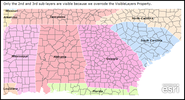 Modifying the visible sub-layers when an ArcGISDynamicMapServiceLayer Initializes.