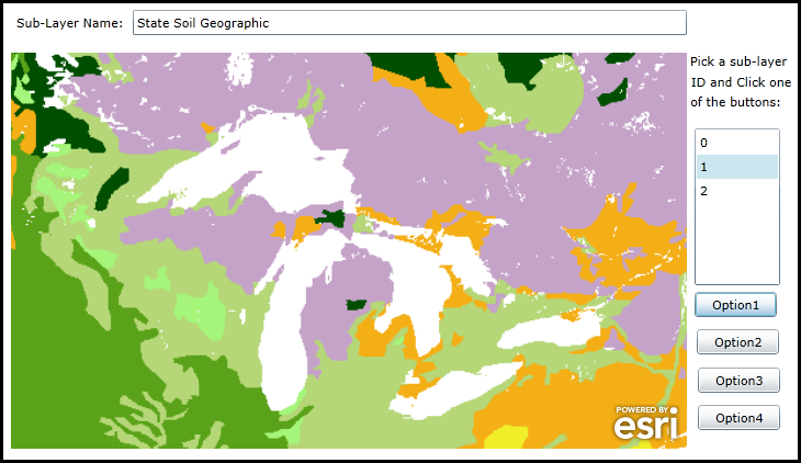 Example showing how to get a sub-layer Name on an ArcGISTiledMapServiceLayer.