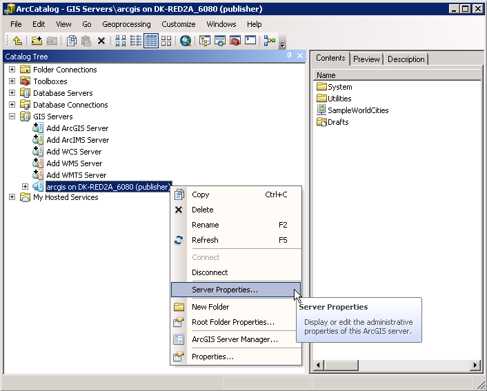 Accessing the Server Properties from the context menus.
