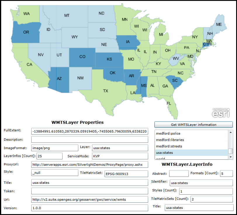 Example of displaying a WmtsLayer and detailed information about the service.