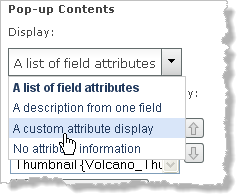 Lista desplegable de opciones para visualizar el contenido de la ventana emergente