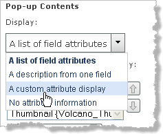 Liste déroulante des options d'affichage du contenu des fenêtres contextuelles