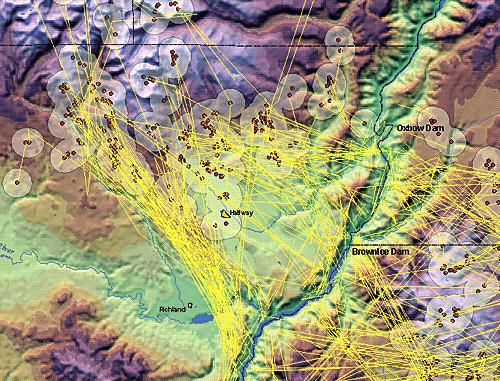Idaho Power Company 使用 GIS 跟踪黑尾鹿种群 Idaho Power Company 使用 GIS 跟踪黑尾鹿种群