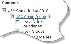 展开了 USA Crime Index 子图层的“内容”面板